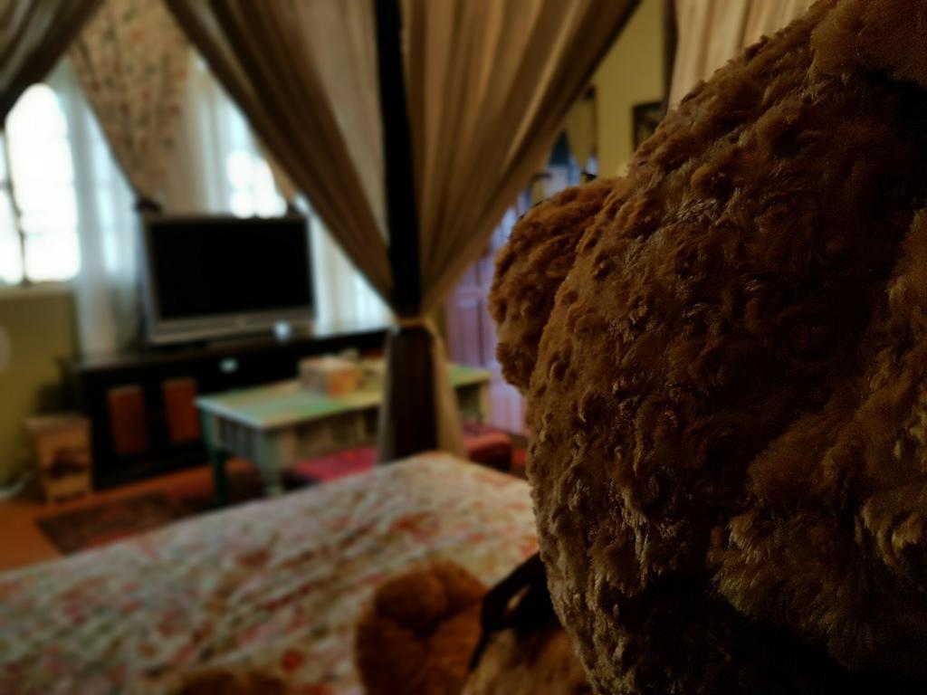Bearbear Homestay Hualien City Exterior foto