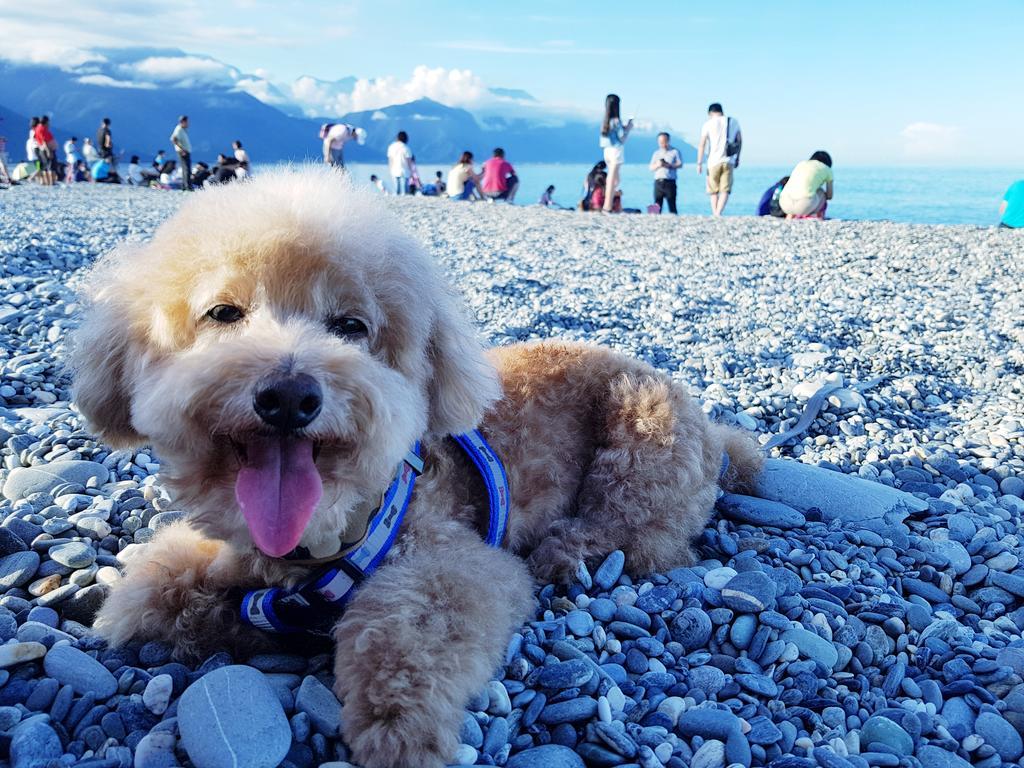 Bearbear Homestay Hualien City Exterior foto